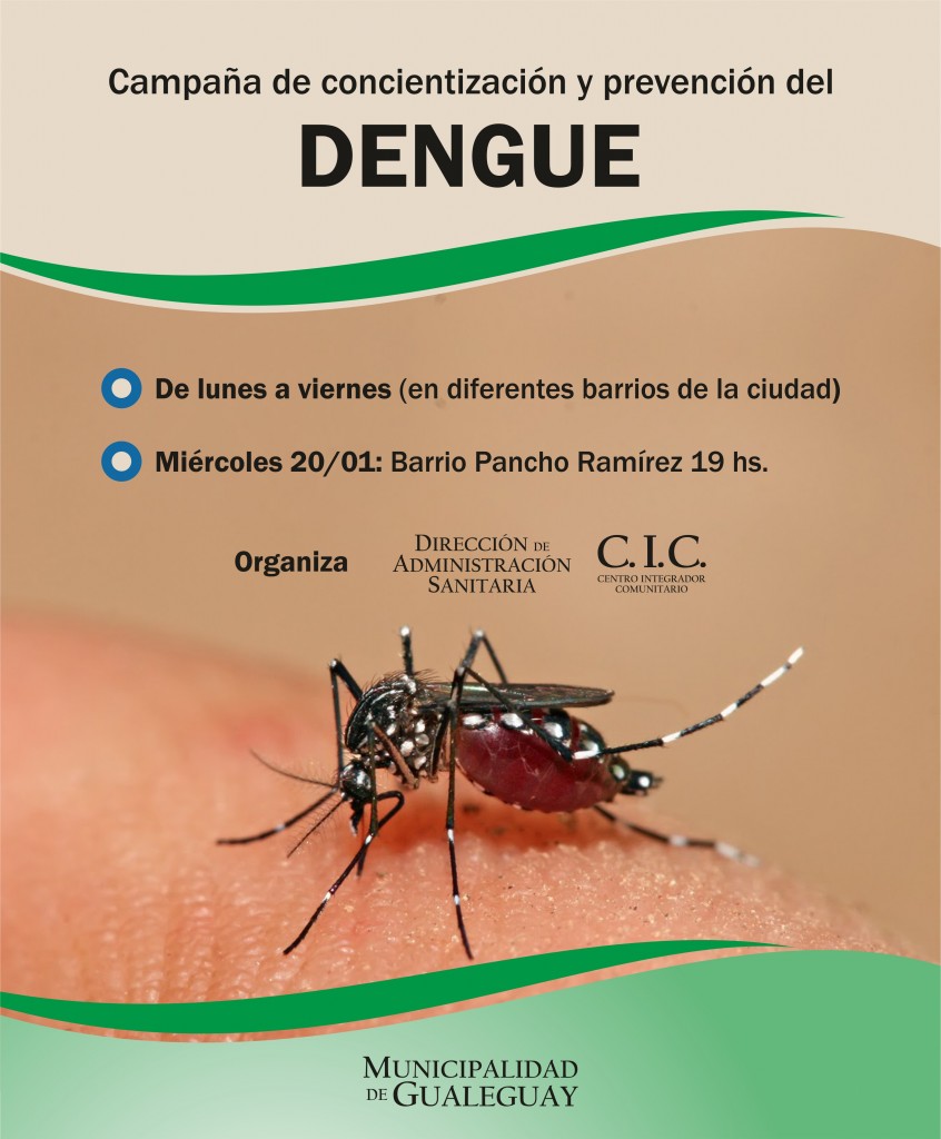 dengue campaña