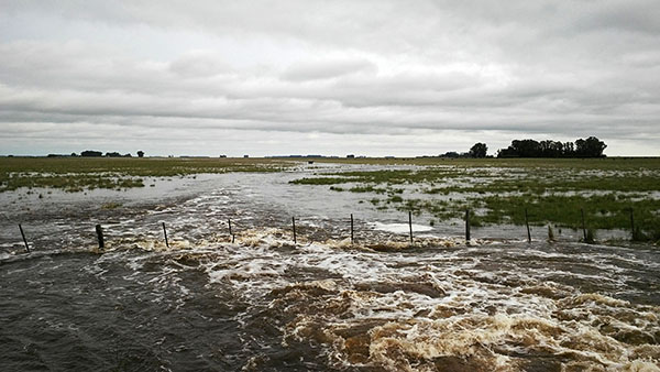 zzzznacg2NOTICIAS ARGENTINAS CORONEL PRINGLES, OCTUBRE 29: Un campo inundado en el partido bonaerense de Coronel Pringles. Foto NAzzzz